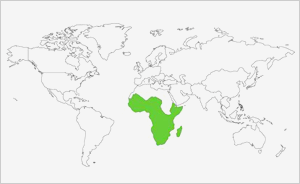 frica Subsariana