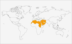 Médio Oriente e Norte de África
