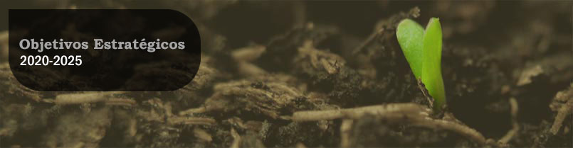 Objetivos-Estrategicos-2020-2025
